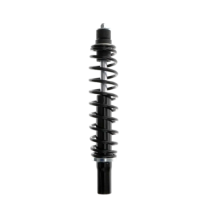 Ammortizzatore sospensione anteriore Chatenet Media, Bellier Asso e Town Life Ginevra