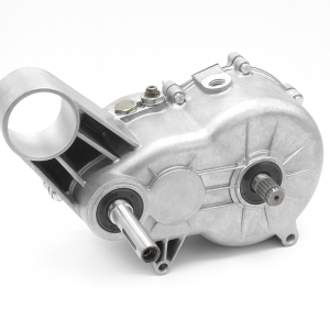 Cambio ponte invertitore completo Ligier