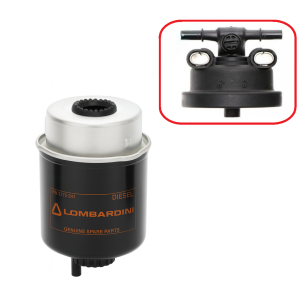 Filtro gasolio motore Originale Lombardini Dci per Ligier, Microcar, Chatenet, Casalini, Aixam, Bellier, Grecav e Jdm