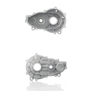 copie de Semi scatola carter cambio Stilfreni lato sinistro per Jdm e Bellier