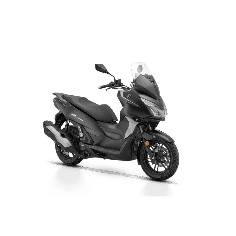 QJ Motor MTX 300