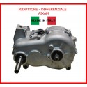 RIDUTTORE DIFFERENZIALE 1:8 AIXAM