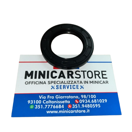 PARAOLIO ALBERO MOTORE LATO DISTRIBUZIONE LOMBARDINI LDW 502 - 1213343