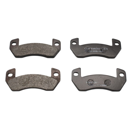 PASTIGLIE POSTERIORI LIGIER 0182043