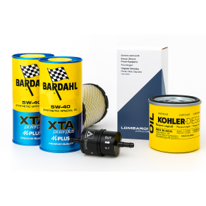 VALVOLA ASPIRAZIONE MOTORE LOMBARDINI LDW 502 - 9652101