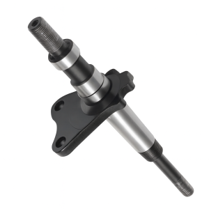 Asse albero ruota conico posteriore Ligier Microcar 1010672