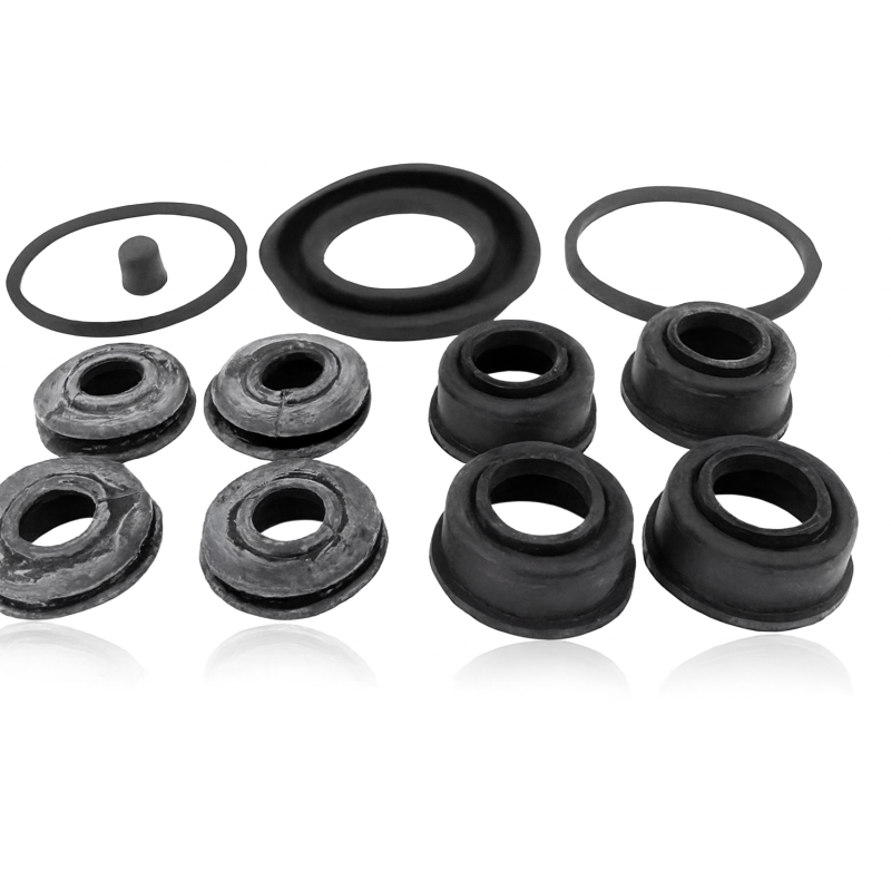 Set gommini revisione pinza freno anteriore Ligier