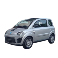 Ricambi Microcar Duè First